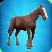 我的马模拟器My Horse Simulatorapk下载手机版