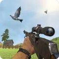 鸽子射击(Pigeon Shoot)安卓版下载游戏