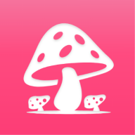 蘑菇赏下载安装免费正版