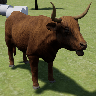 高地牛模拟器（Highland Cattle Sim）最新版本下载