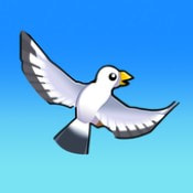 猎鹰生活Falconer Life安卓免费游戏app
